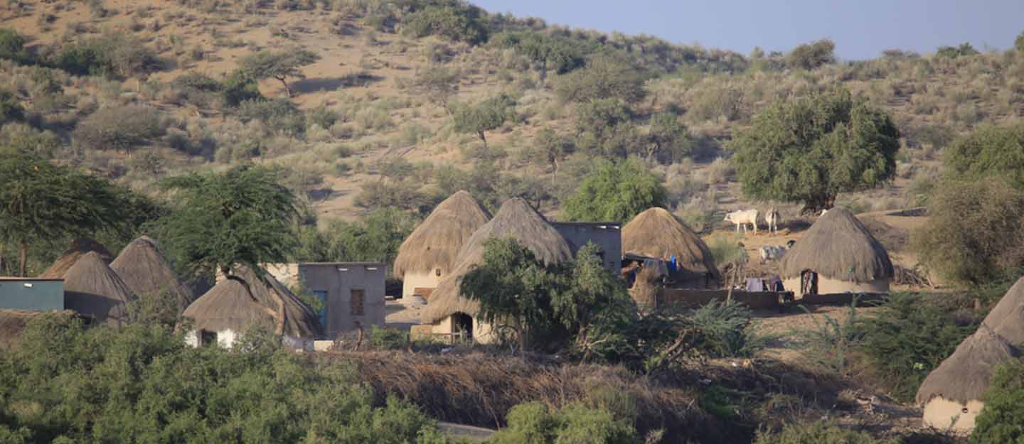 Thar desert landscape